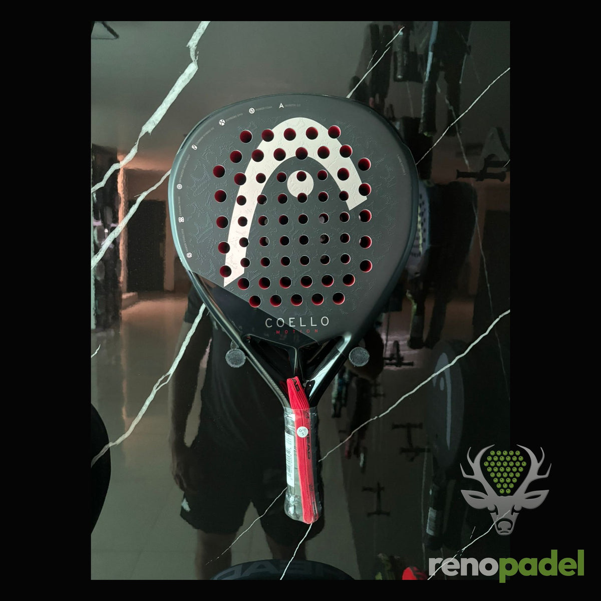 Head Coello Motion 2025