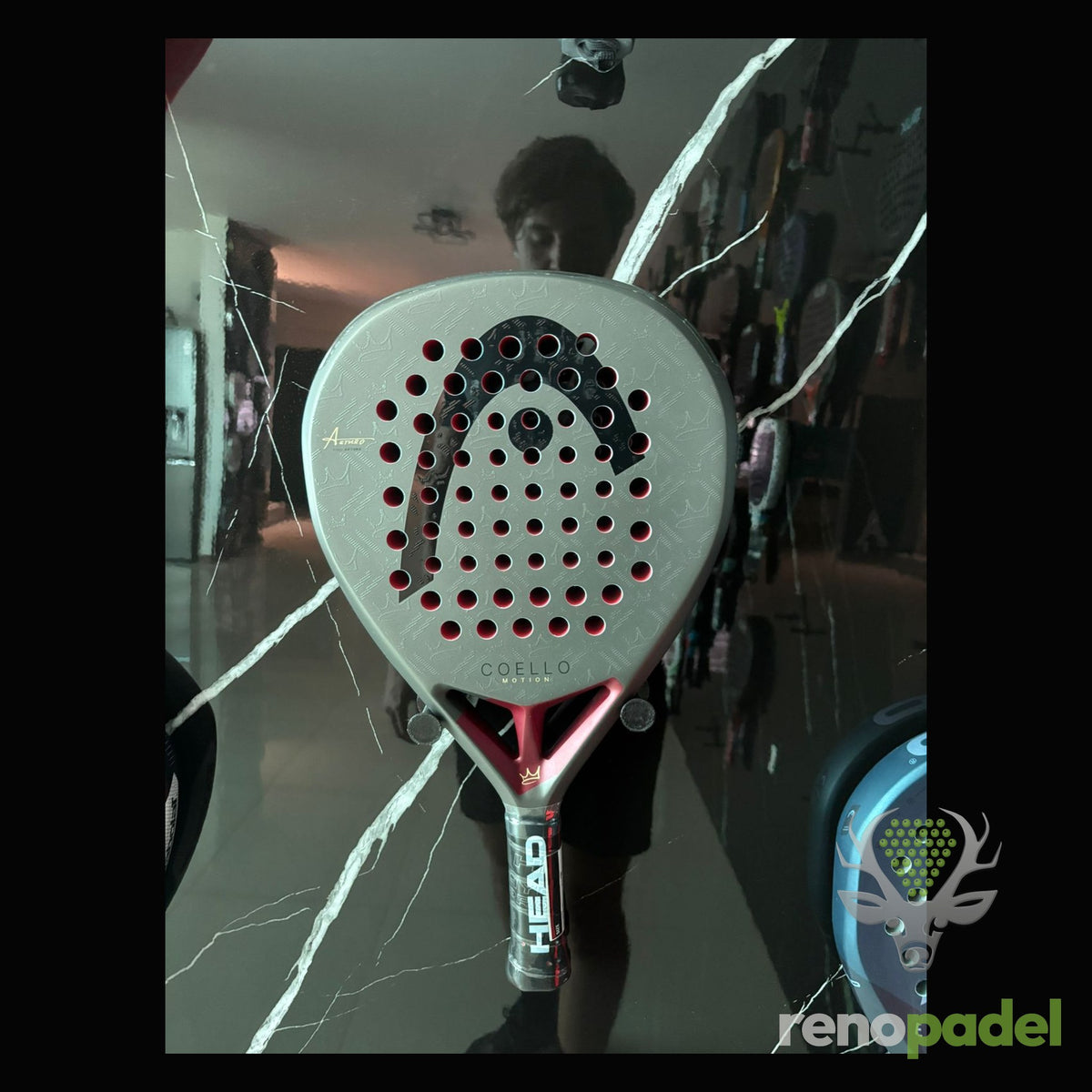 Head Coello Motion 2026
