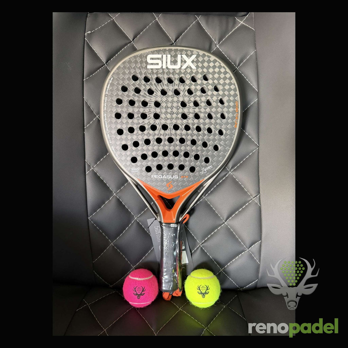 Siux Pegasus Pro 2026