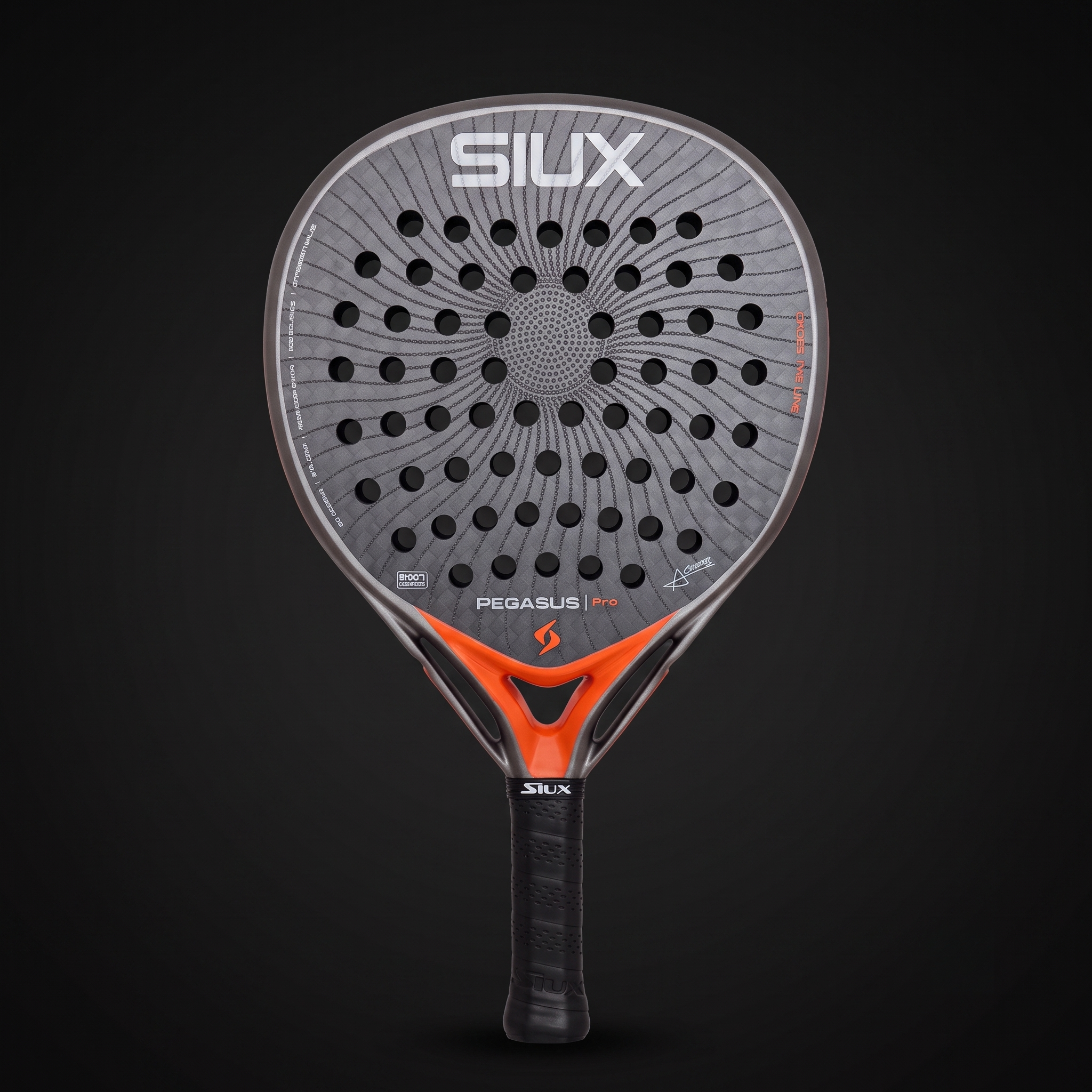 Siux Pegasus Pro 2026