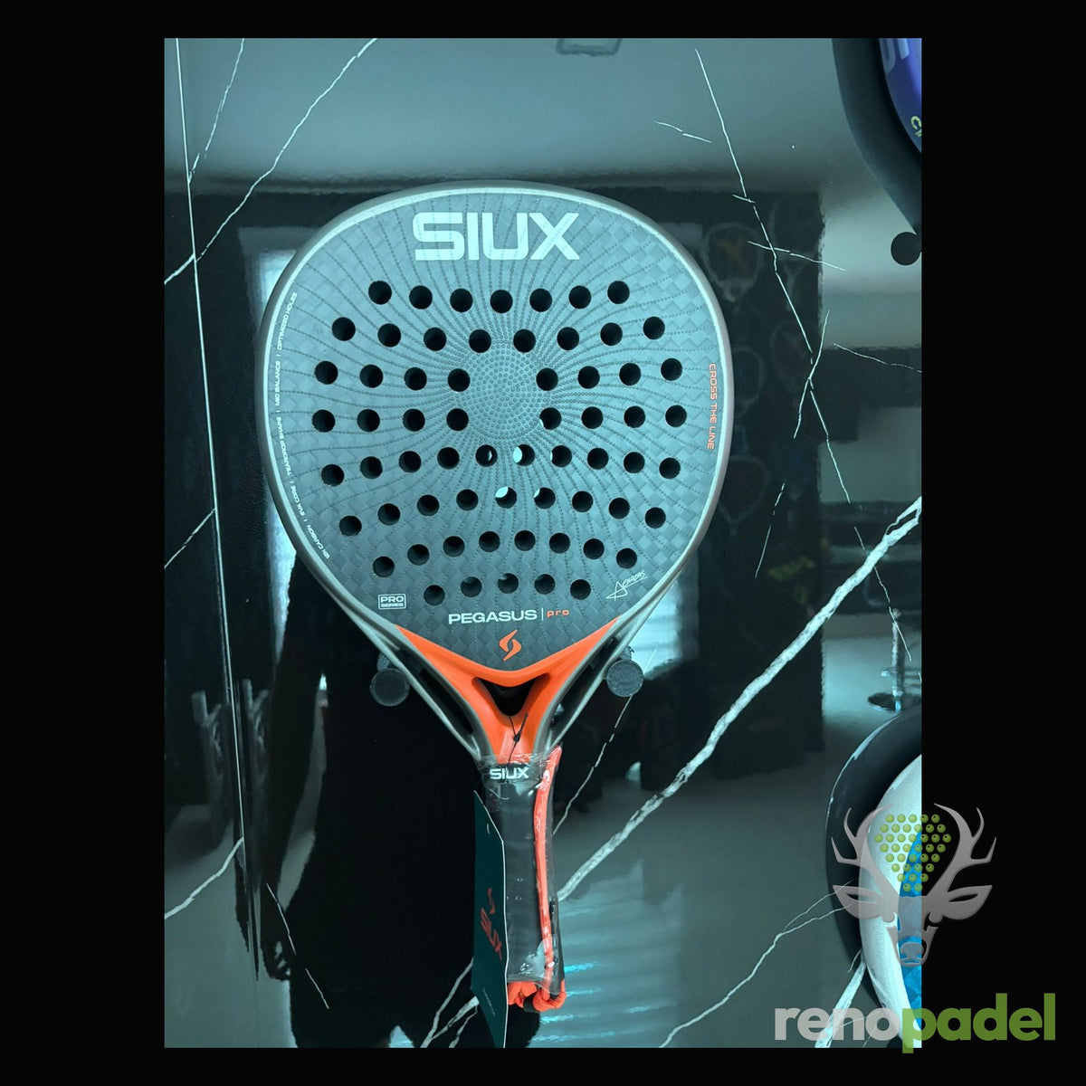 Siux Pegasus Pro 2026